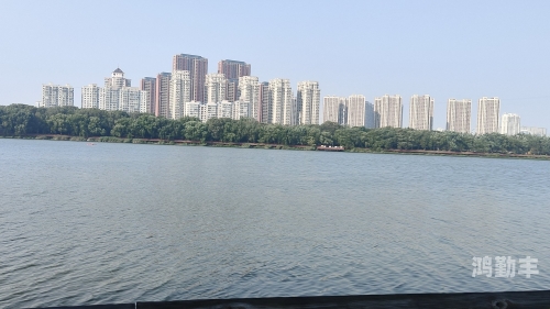 向日葵app官方网站进入人口探索向日葵app官方网站，便捷的人口信息服务平台-第2张图片