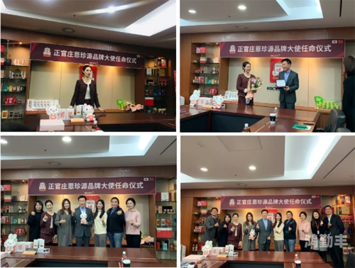 蜜芽新入口，探索与发现的旅程-第1张图片