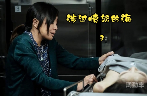 国产在线视频的精品之路-第3张图片