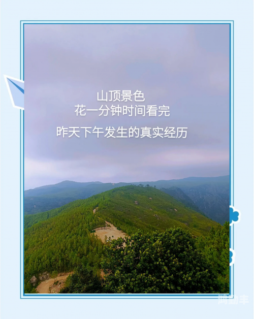 接过最大的客人接过最大的客人，一次难忘的接待经历