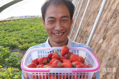 女生迈开腿的背后，男生品尝草莓的独特体验