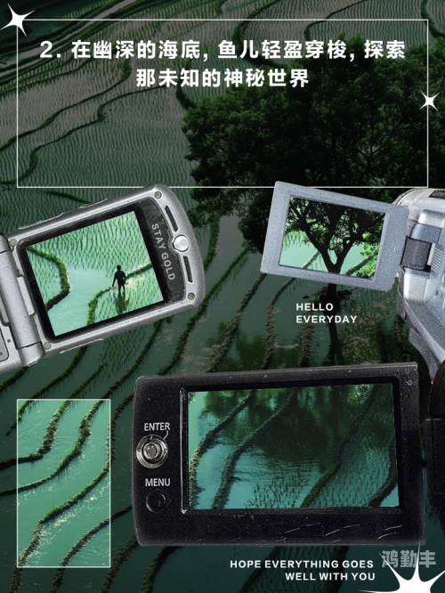 探索幸福宝的神秘世界——从xfb88.xyf入口开始