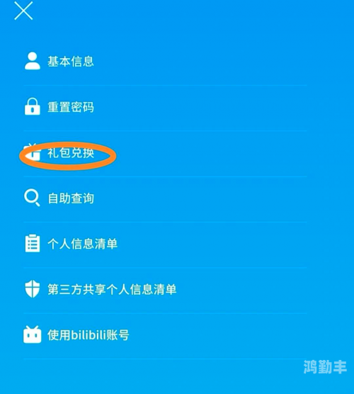 失足圣女游戏礼包兑换码的神秘之旅