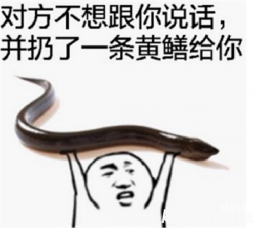 黄鳝女主播资源，网络直播的新趋势与探讨-第2张图片